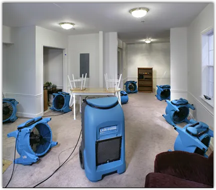 Water Damage Restoration in Cresaptown, MD