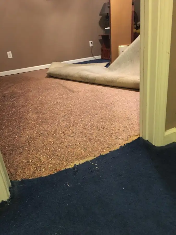 Carpet pad removal revealing water damage during Water Mitigation Services in Cresaptown