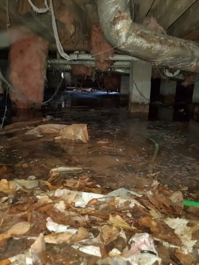 Crawl space flood assessment for Commercial Water Damage Restoration in Cresaptown