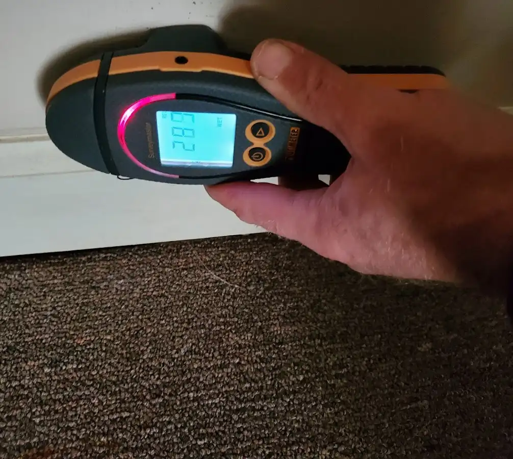 Moisture detection at baseboard during Sewage Cleanup & Sanitation in Cresaptown